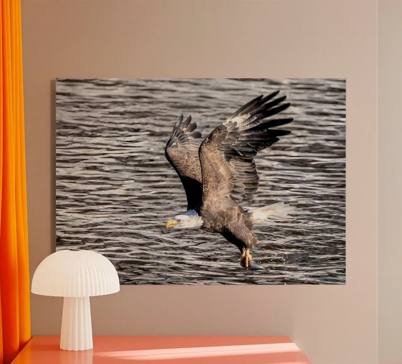 Immersione nel caffè plexiglass da Eames