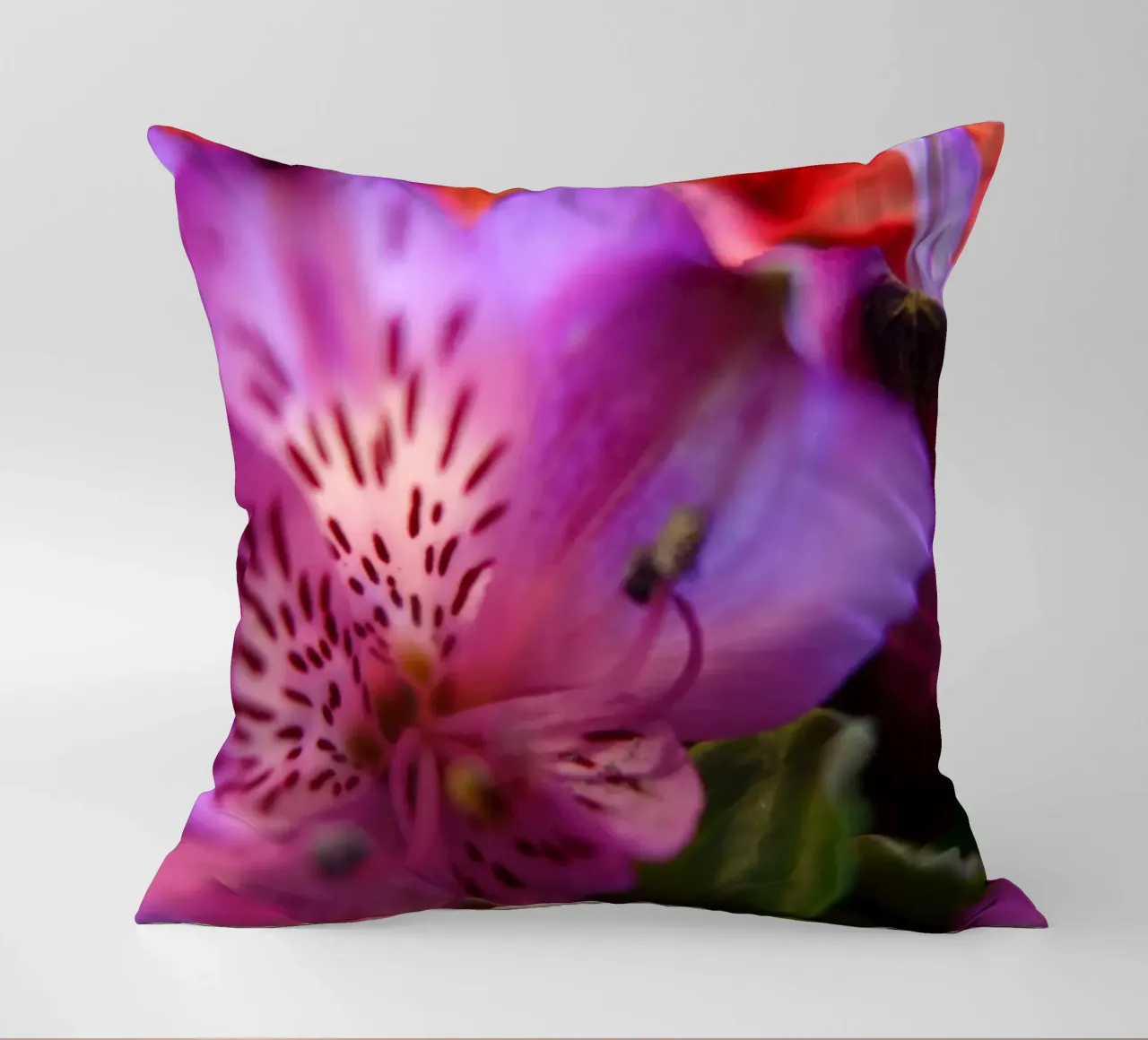 Orchideen cuscino da Jonas Klein