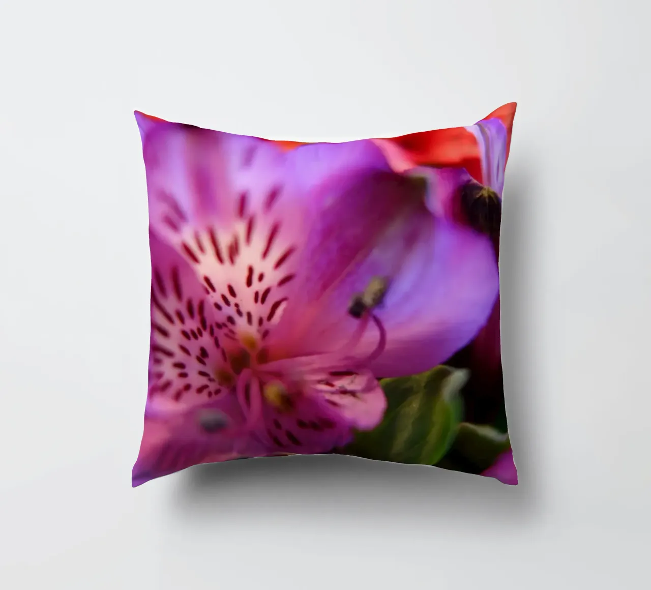 Orchideen cuscino da Jonas Klein