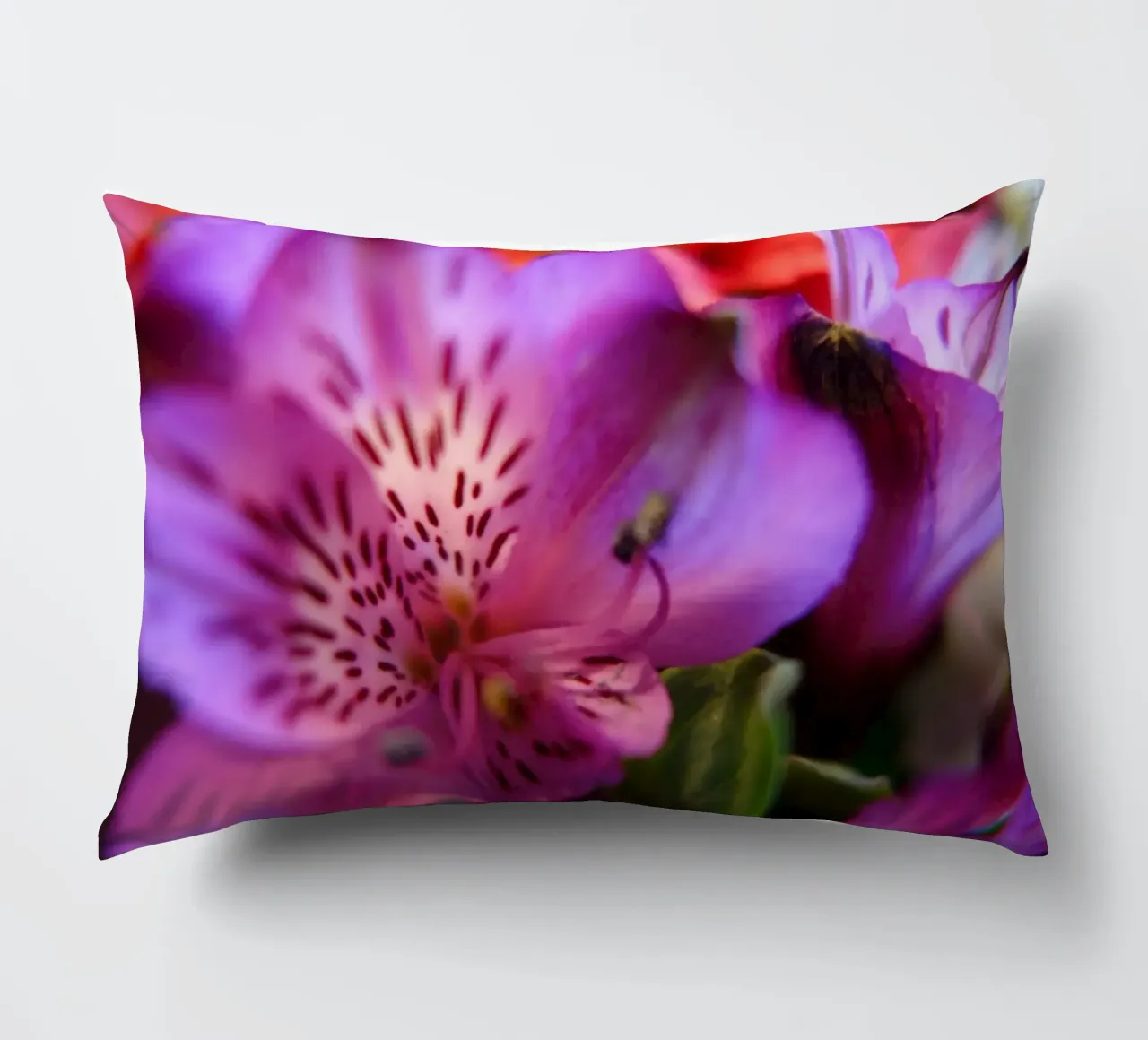 Orchideen cuscino da Jonas Klein