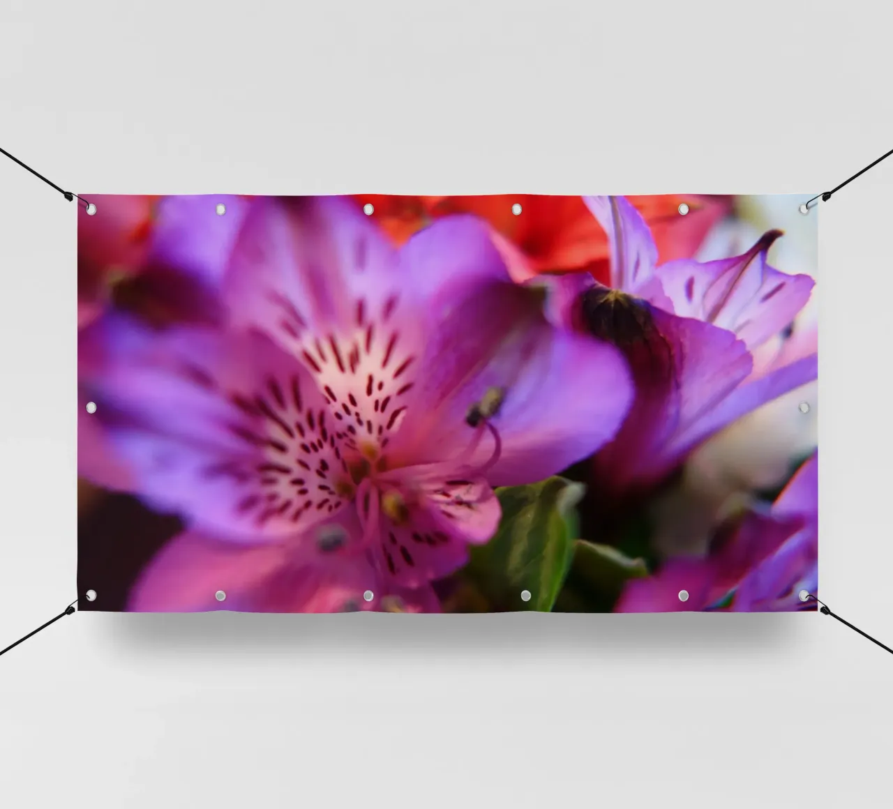 Orchideen telo in pvc da Jonas Klein