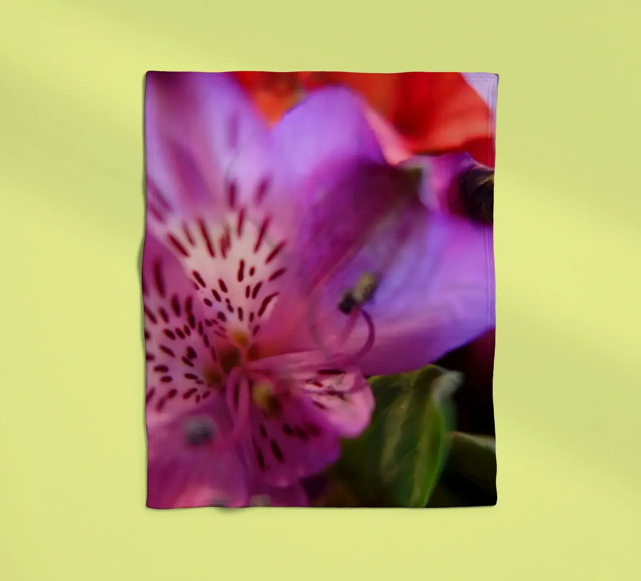 Orchideen coperta in pile da Jonas Klein