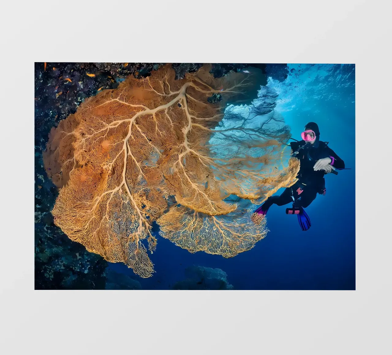 Silhouette di immersione subacquea telo in pvc da Eames