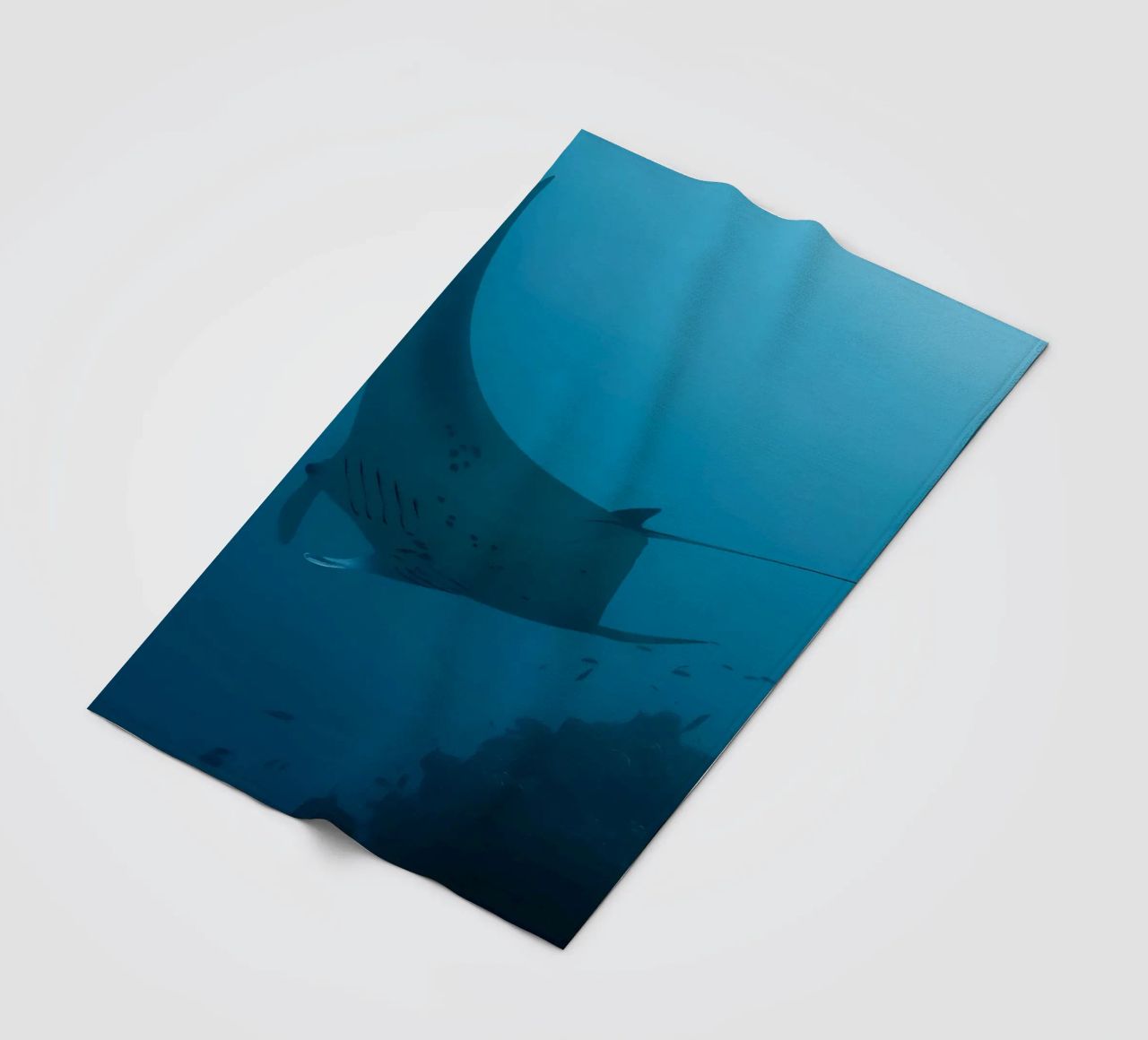Tuffatore oceanico con polpo coperta in pile da Eames