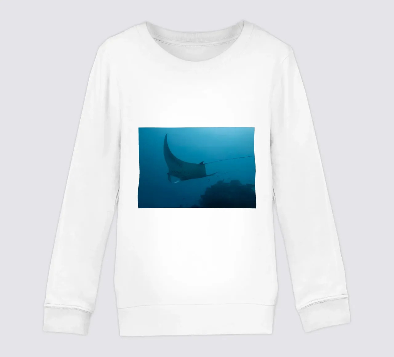 Tuffatore oceanico con polpo felpa bambino da Eames