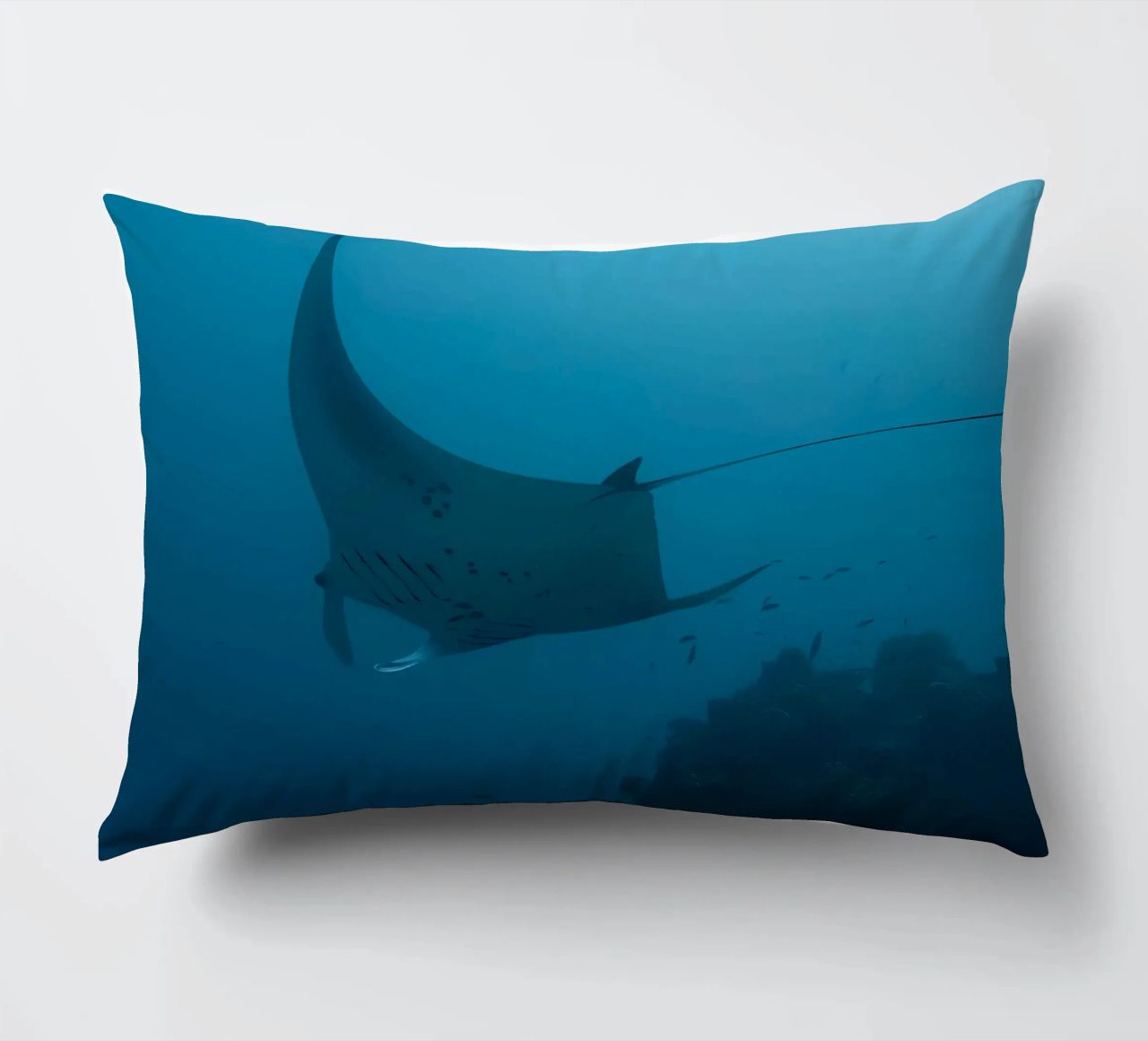 Tuffatore oceanico con polpo cuscino da Eames