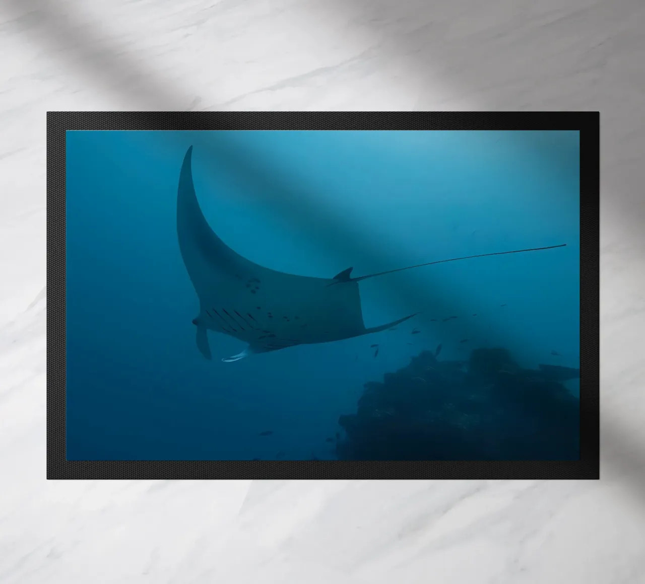 Tuffatore oceanico con polpo zerbino da Eames