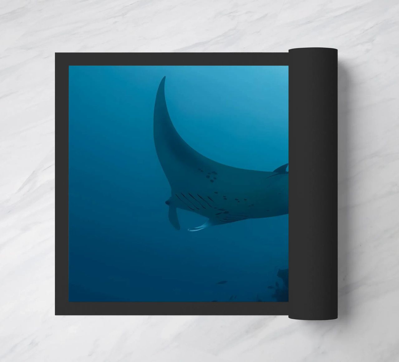 Tuffatore oceanico con polpo zerbino da Eames