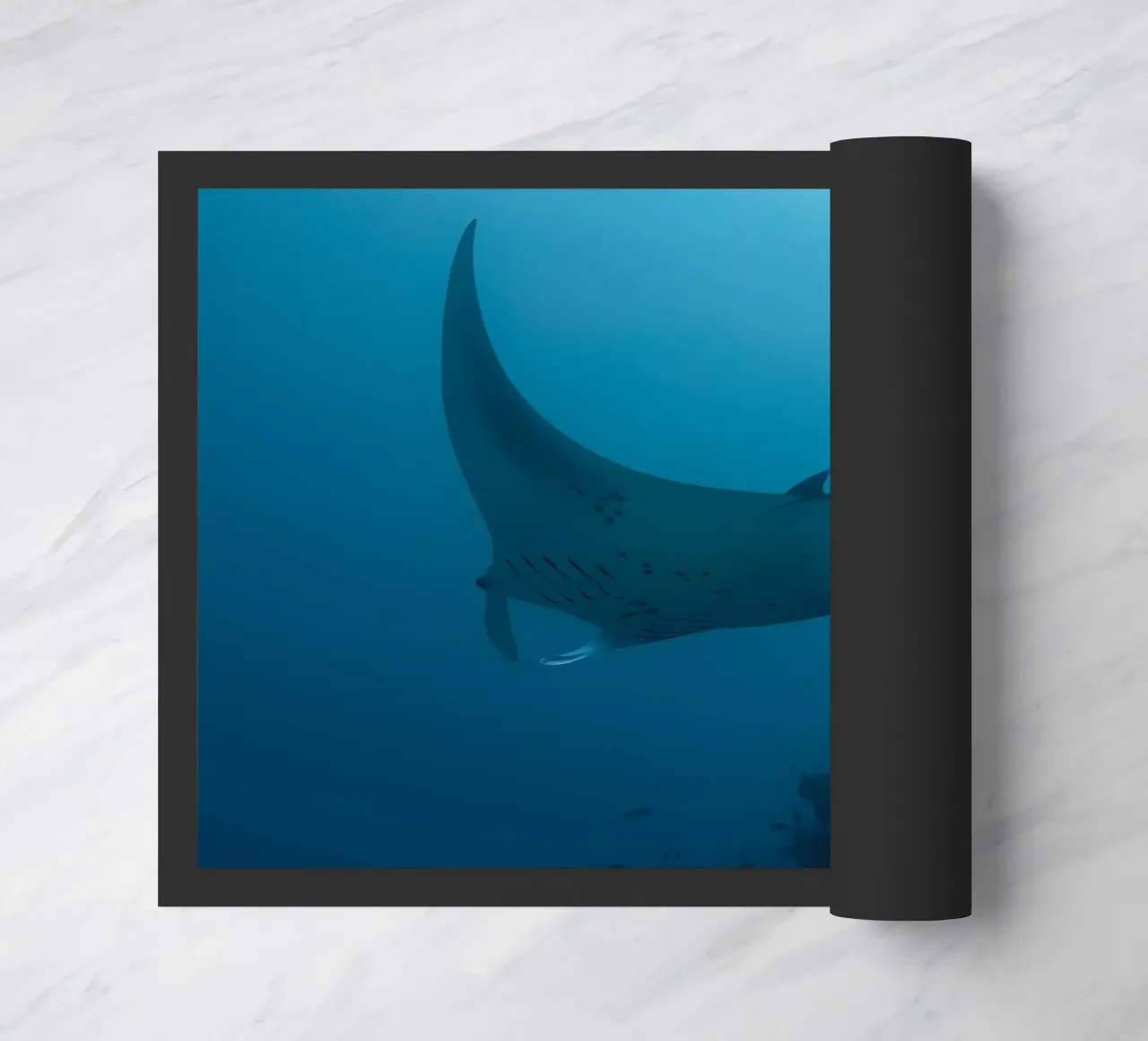 Tuffatore oceanico con polpo zerbino da Eames