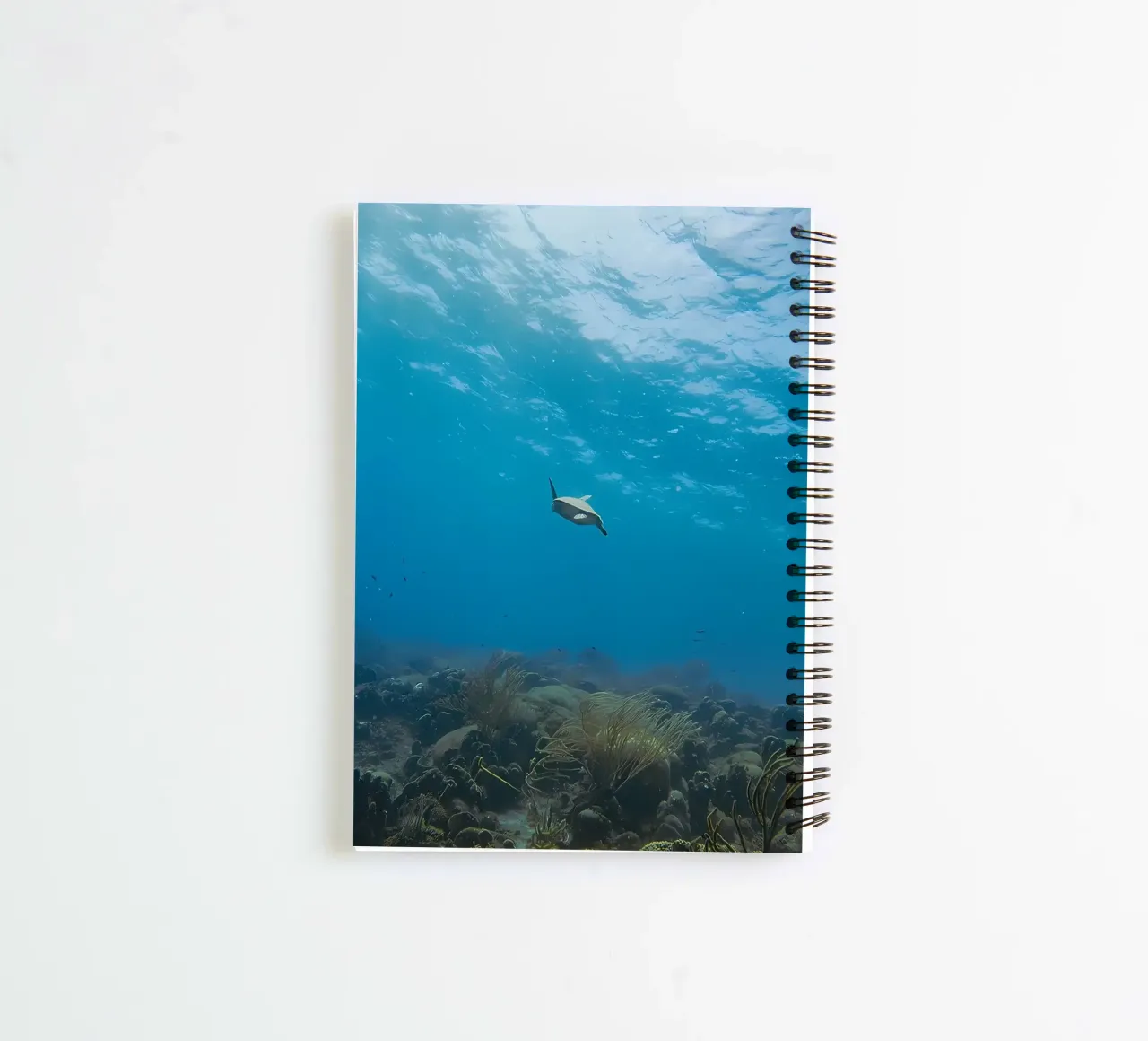 Dwarf Cuttlefish Bubble Bokeh spiral notebook by Eames