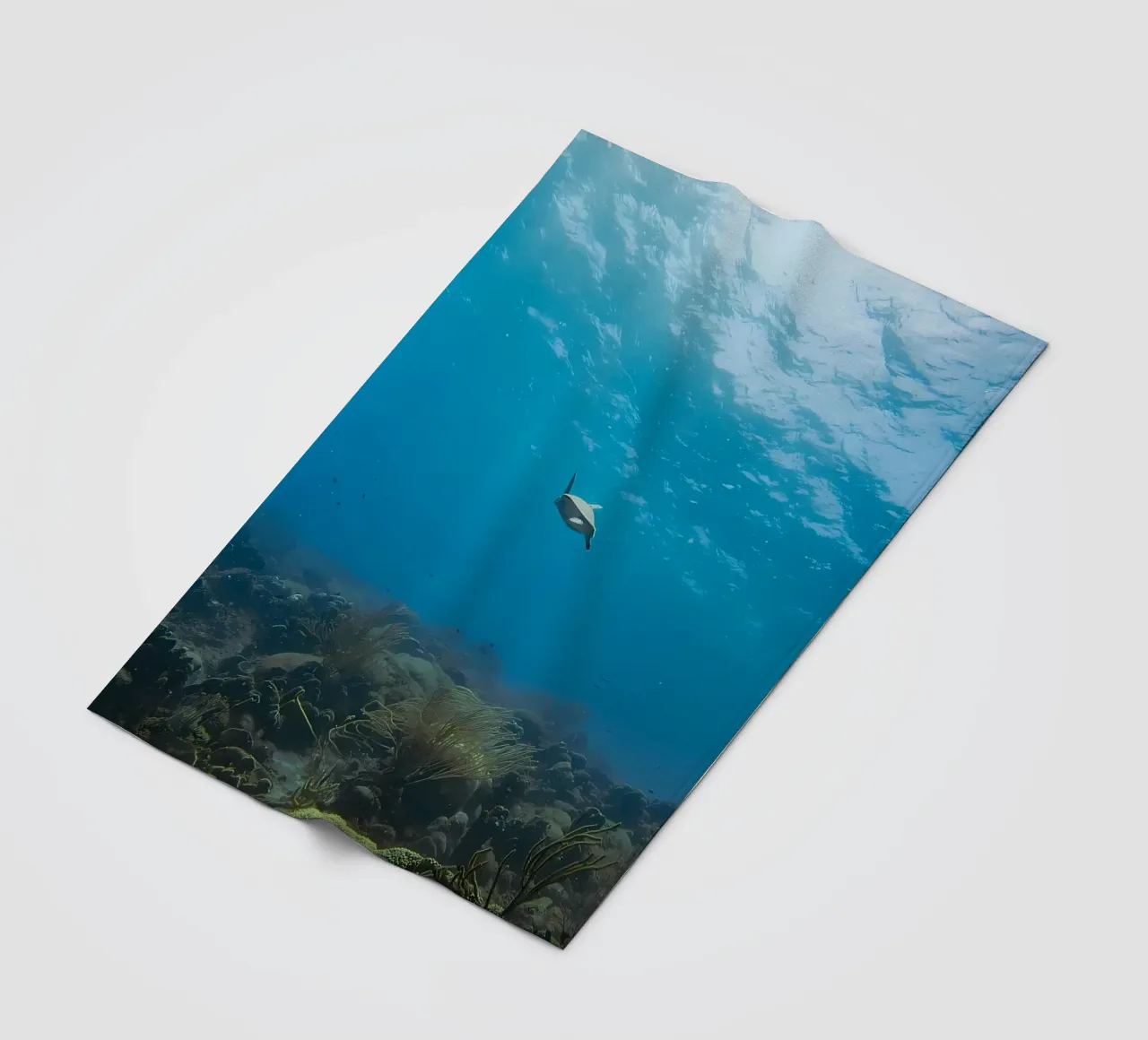 Dwarf Cuttlefish Bubble Bokeh fleece blanket by Eames