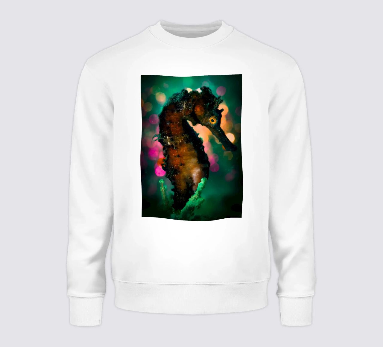 Pulpo de coco en concha sudadera de Eames