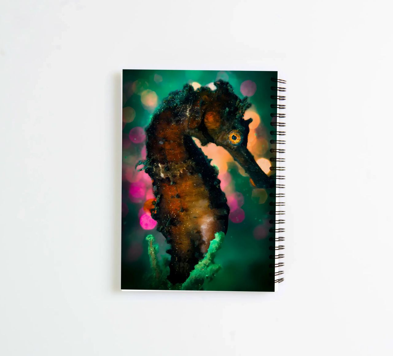 Coconut Octopus in Shell spiral notebook by Eames