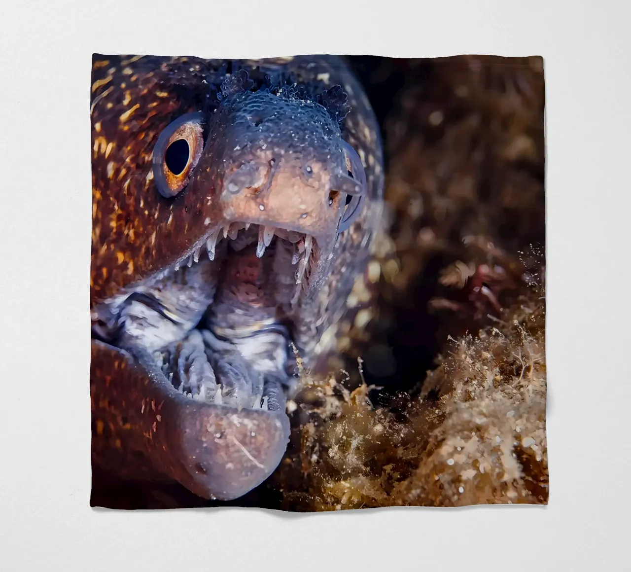 Napoleone Serpente Anguilla Bolla Bokeh coperta in pile da Eames
