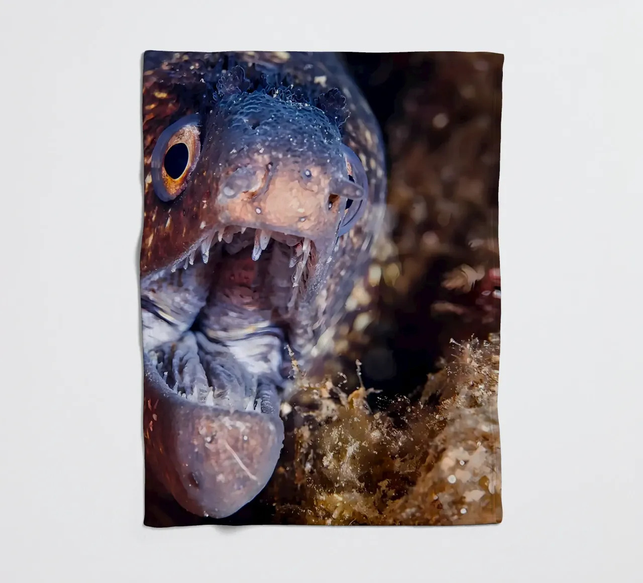 Napoleone Serpente Anguilla Bolla Bokeh coperta in pile da Eames