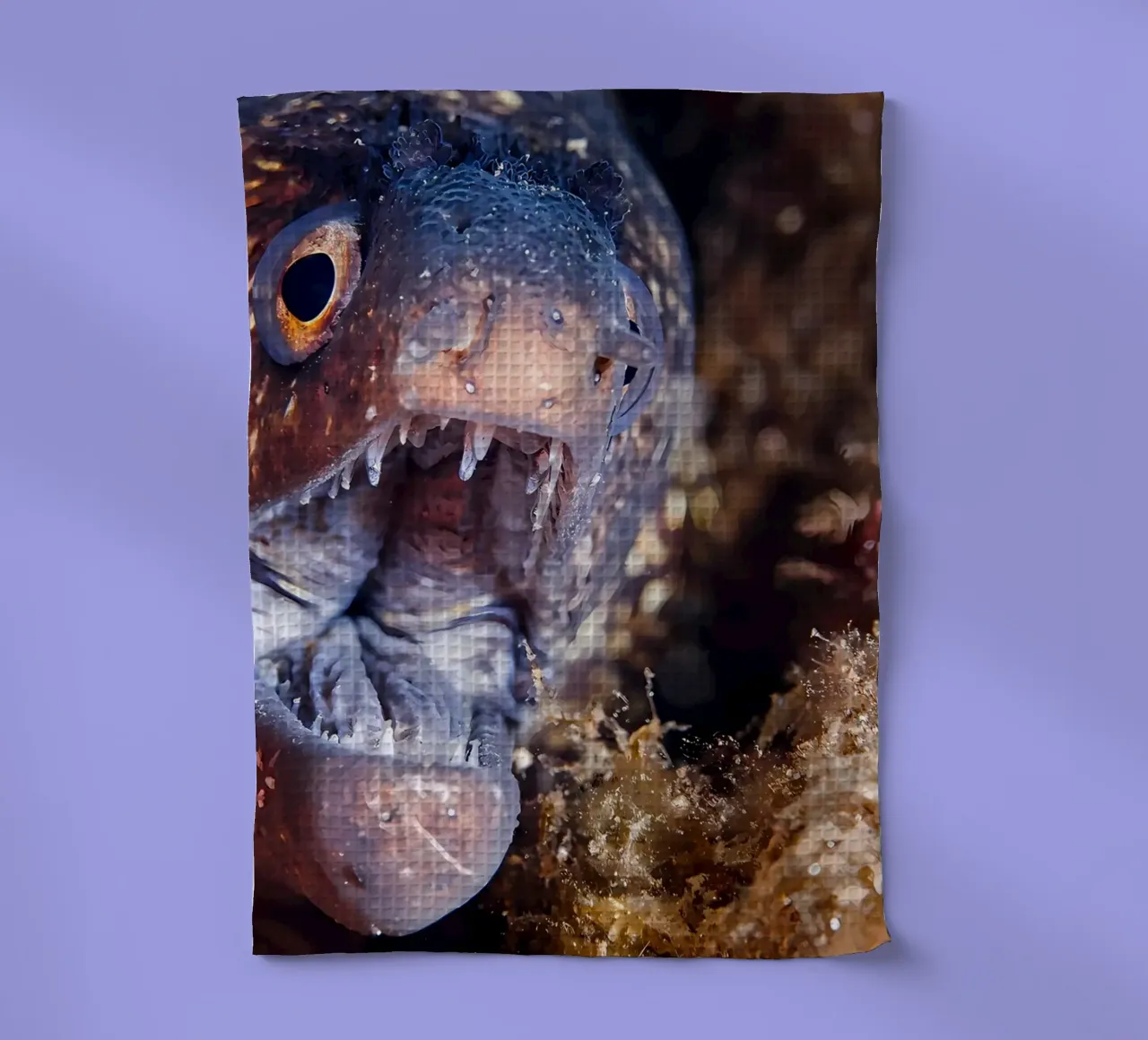 Napoleone Serpente Anguilla Bolla Bokeh canovaccio da cucina da Eames
