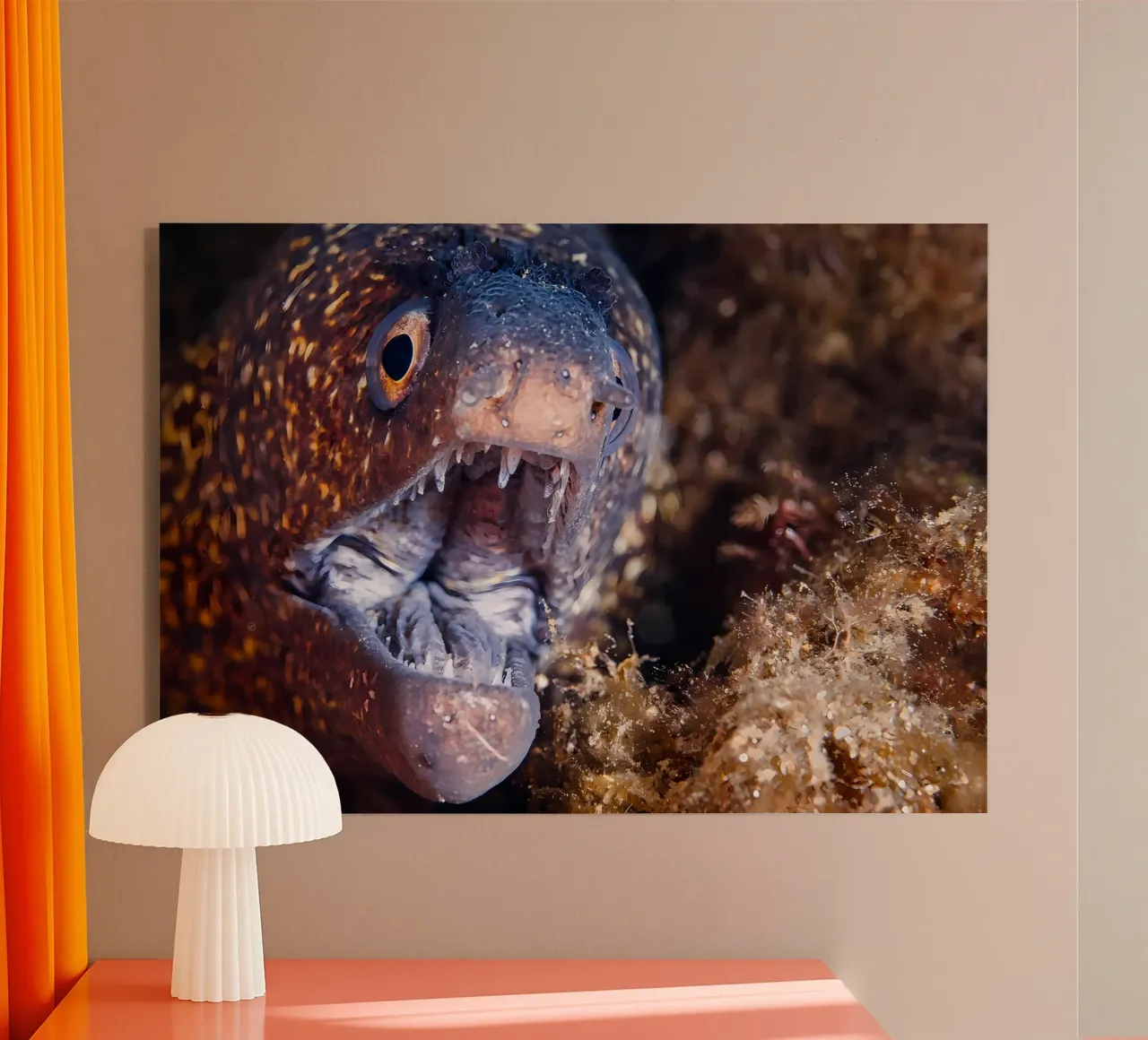 Napoleone Serpente Anguilla Bolla Bokeh plexiglass da Eames
