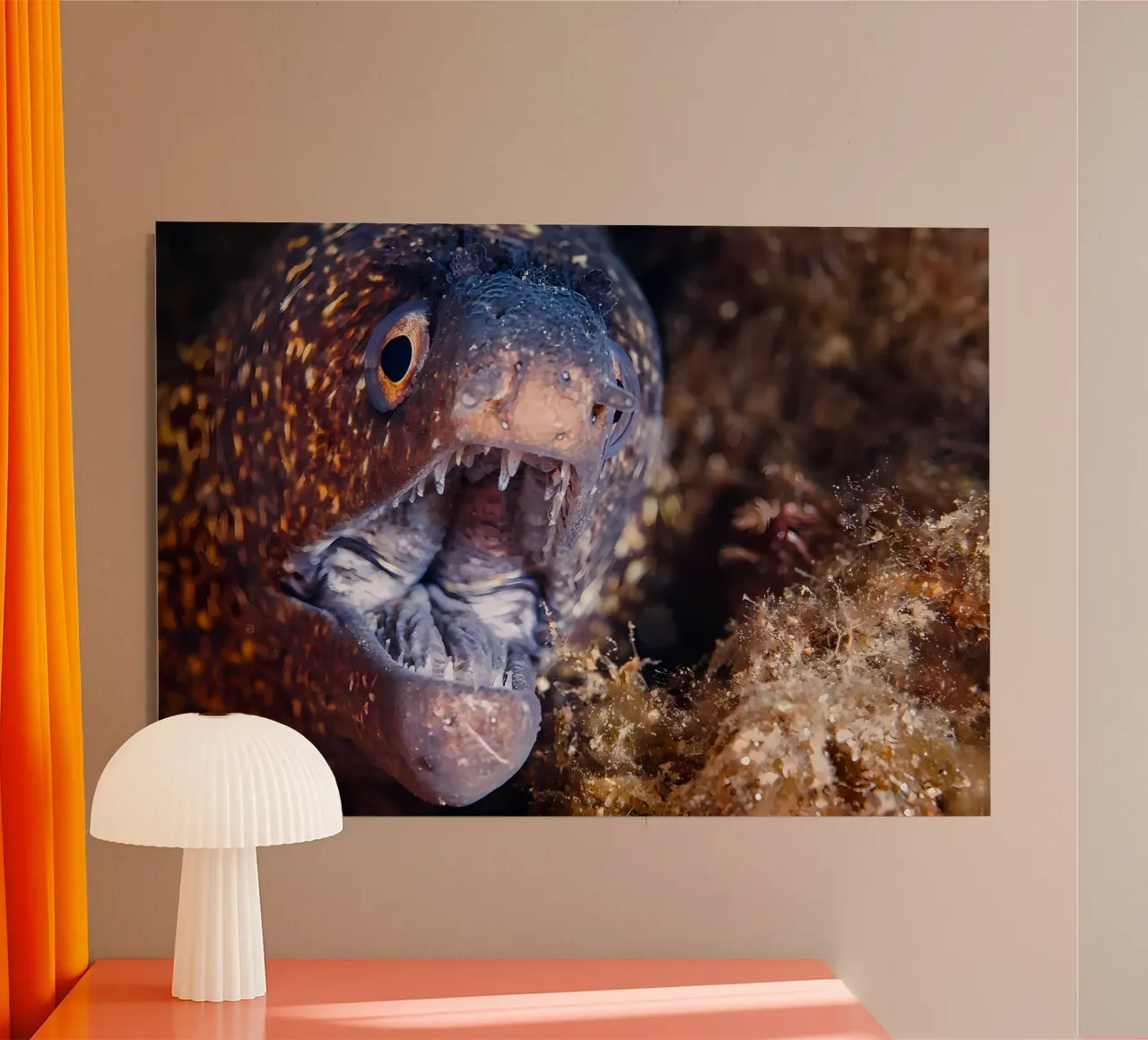 Napoleone Serpente Anguilla Bolla Bokeh alluminio dibond da Eames