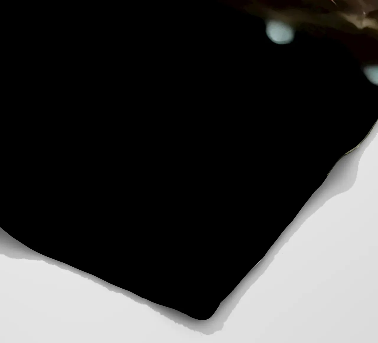Just Dive fleece blanket by Eames