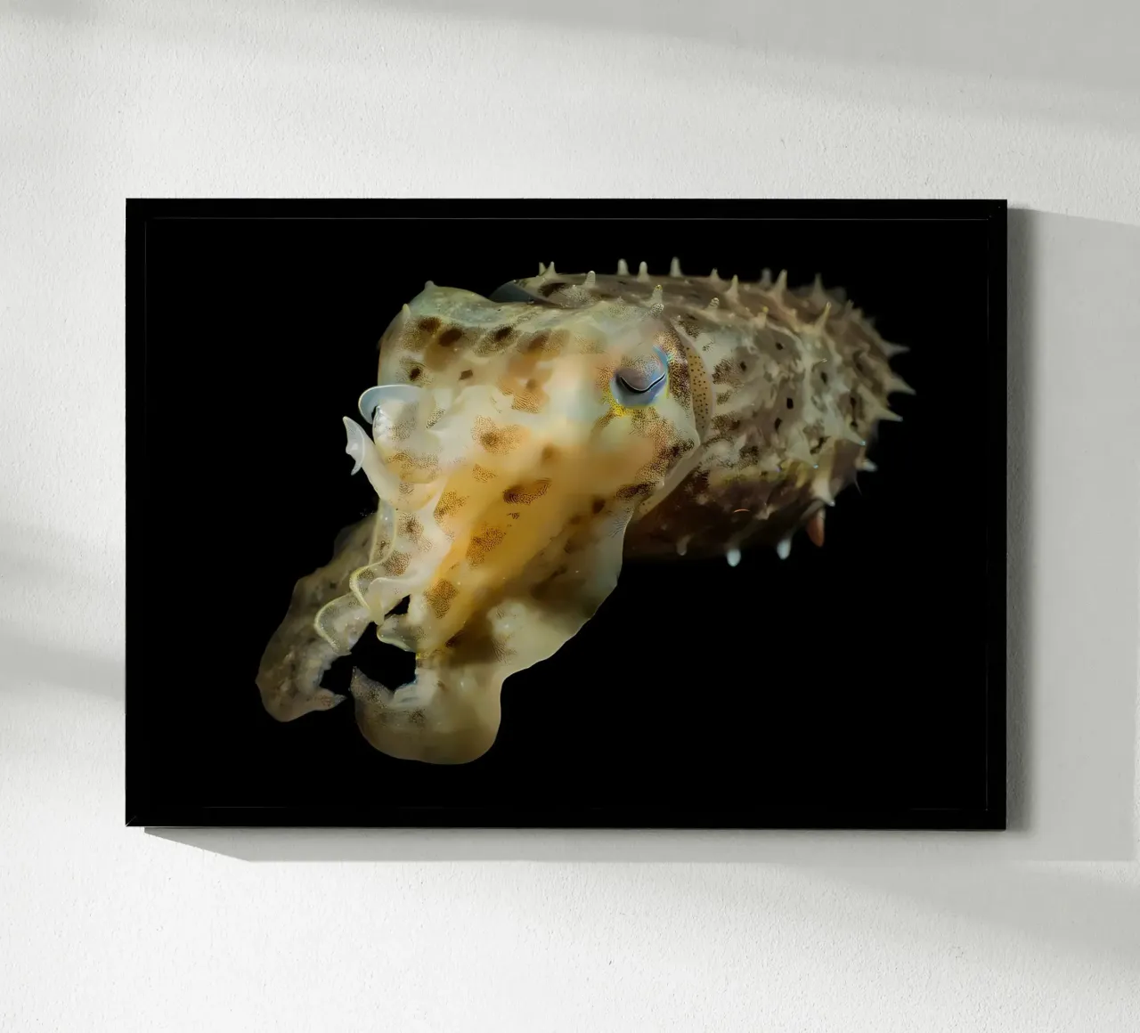 Solo immersioni poster con telaio in plastica da Eames