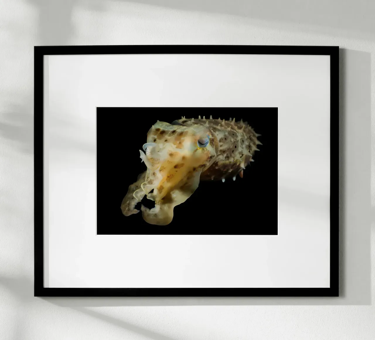 Solo immersioni poster con telaio in plastica da Eames