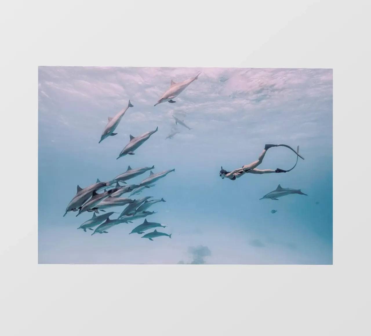 Mermaids by @JimmySong1 telo in pvc da EyeEm Mobile GmbH
