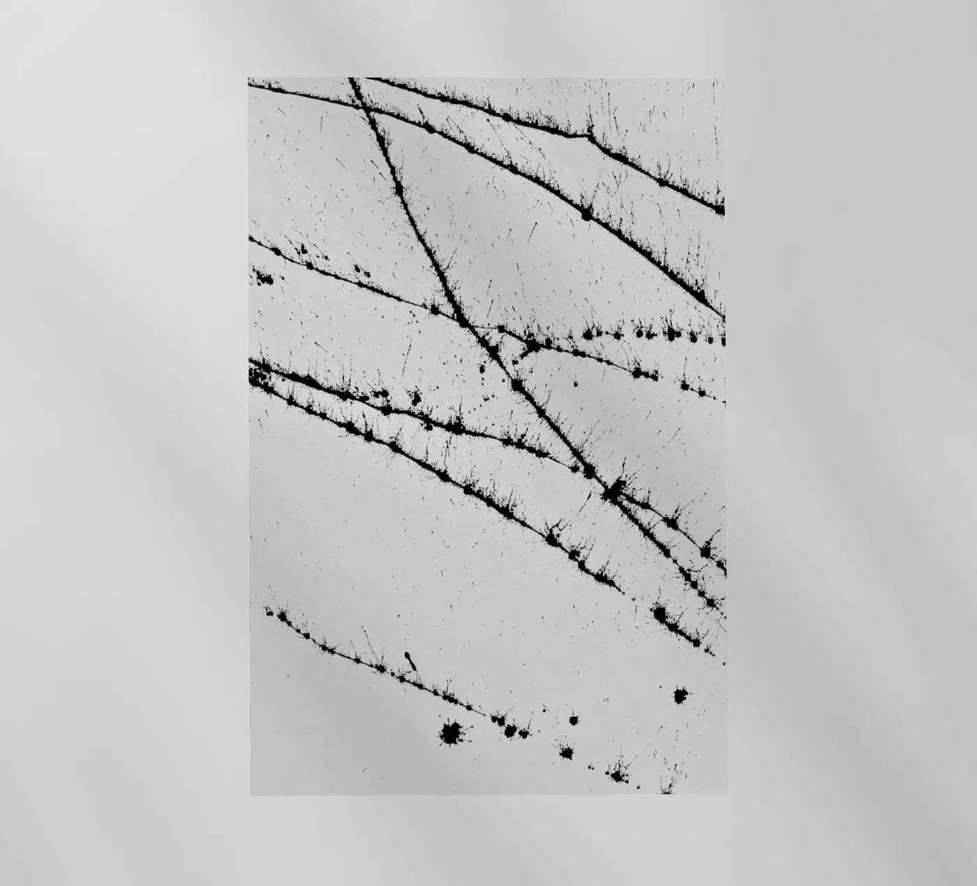 EXPRESSION 3 backlit folie van FRITSCH&FRITSCH