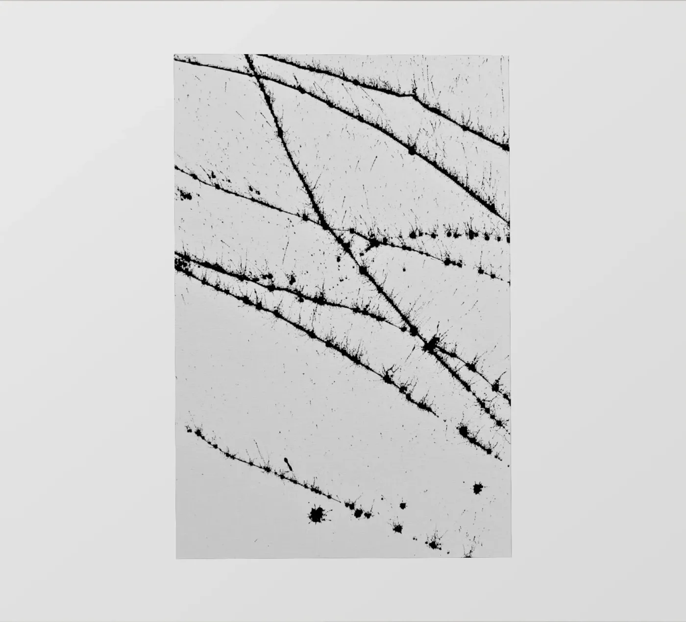 EXPRESSION 3 backlit folie van FRITSCH&FRITSCH