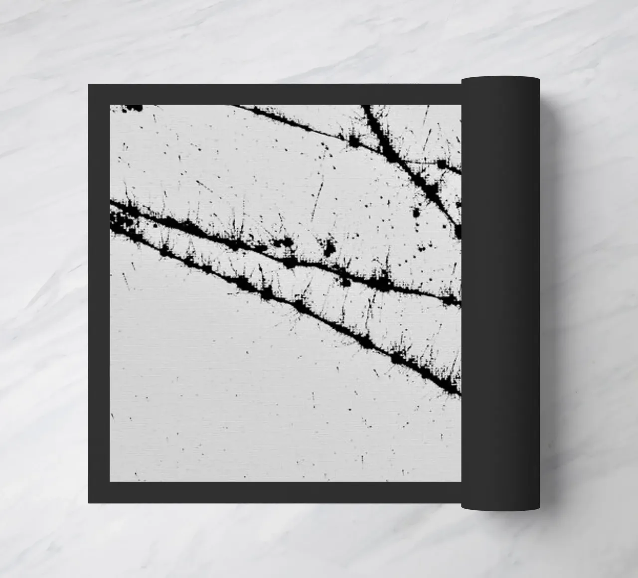 EXPRESSION 3 zerbino da FRITSCH&FRITSCH