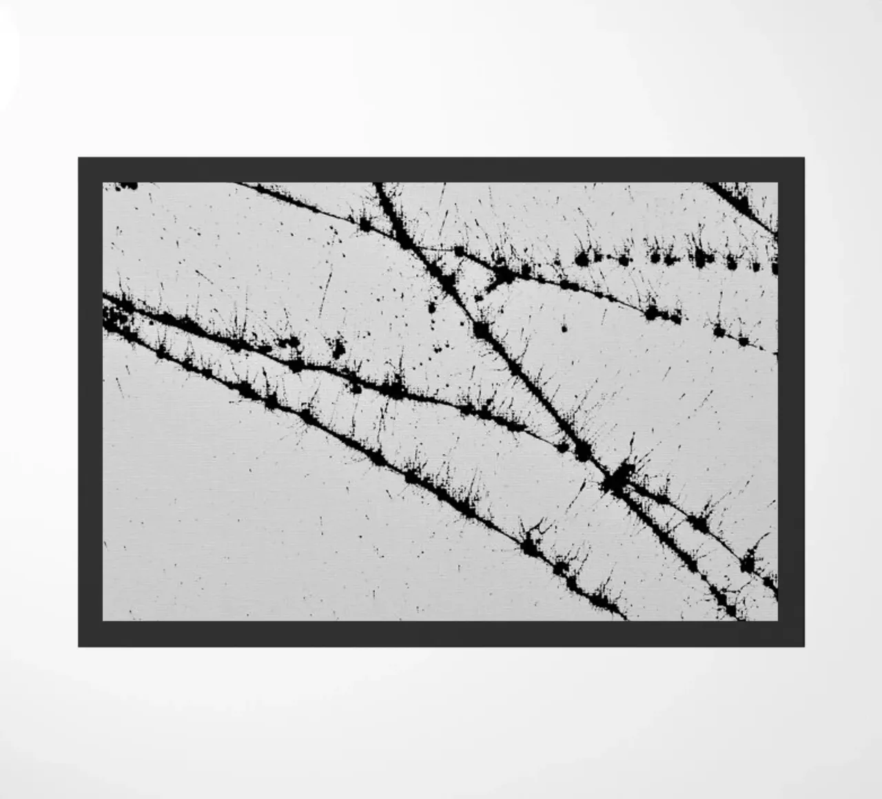 EXPRESSION 3 zerbino da FRITSCH&FRITSCH