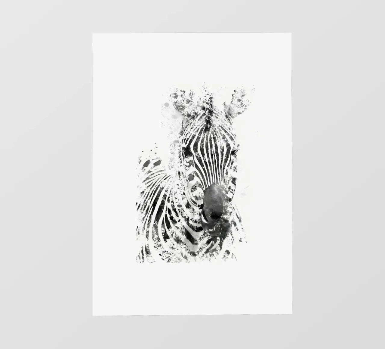 zebra pellicola backlit da Book