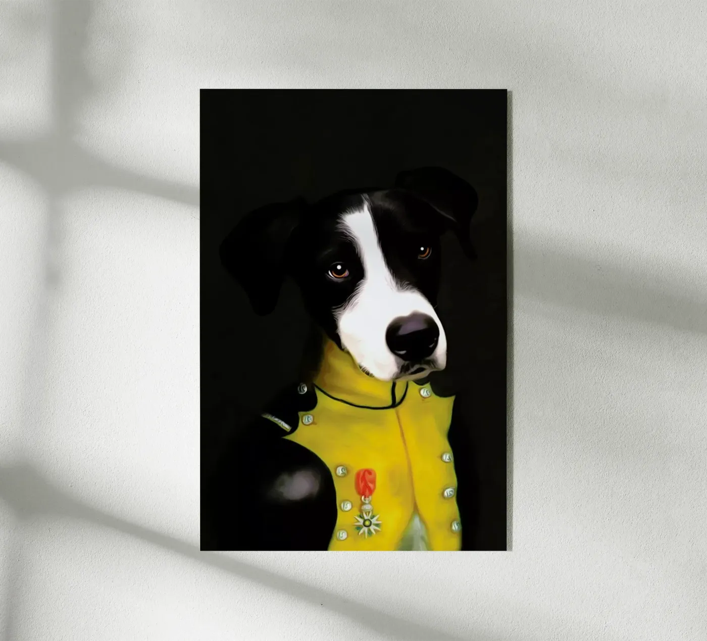 Boris plexiglass da Tein Lucasson