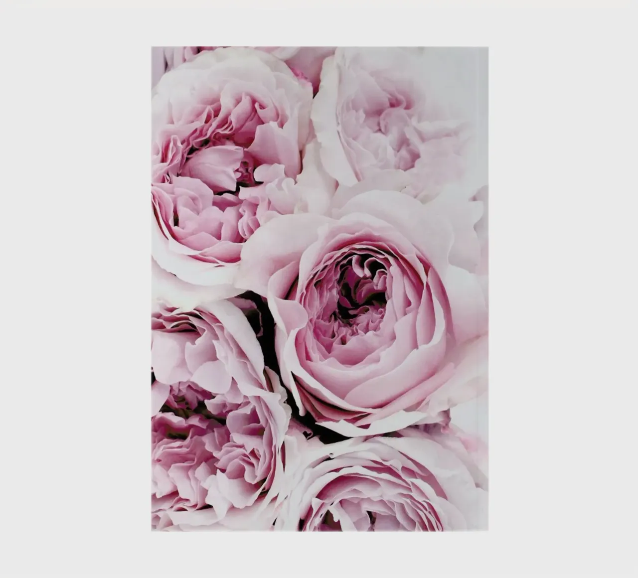 Print 195 notebook by Lila x Lola