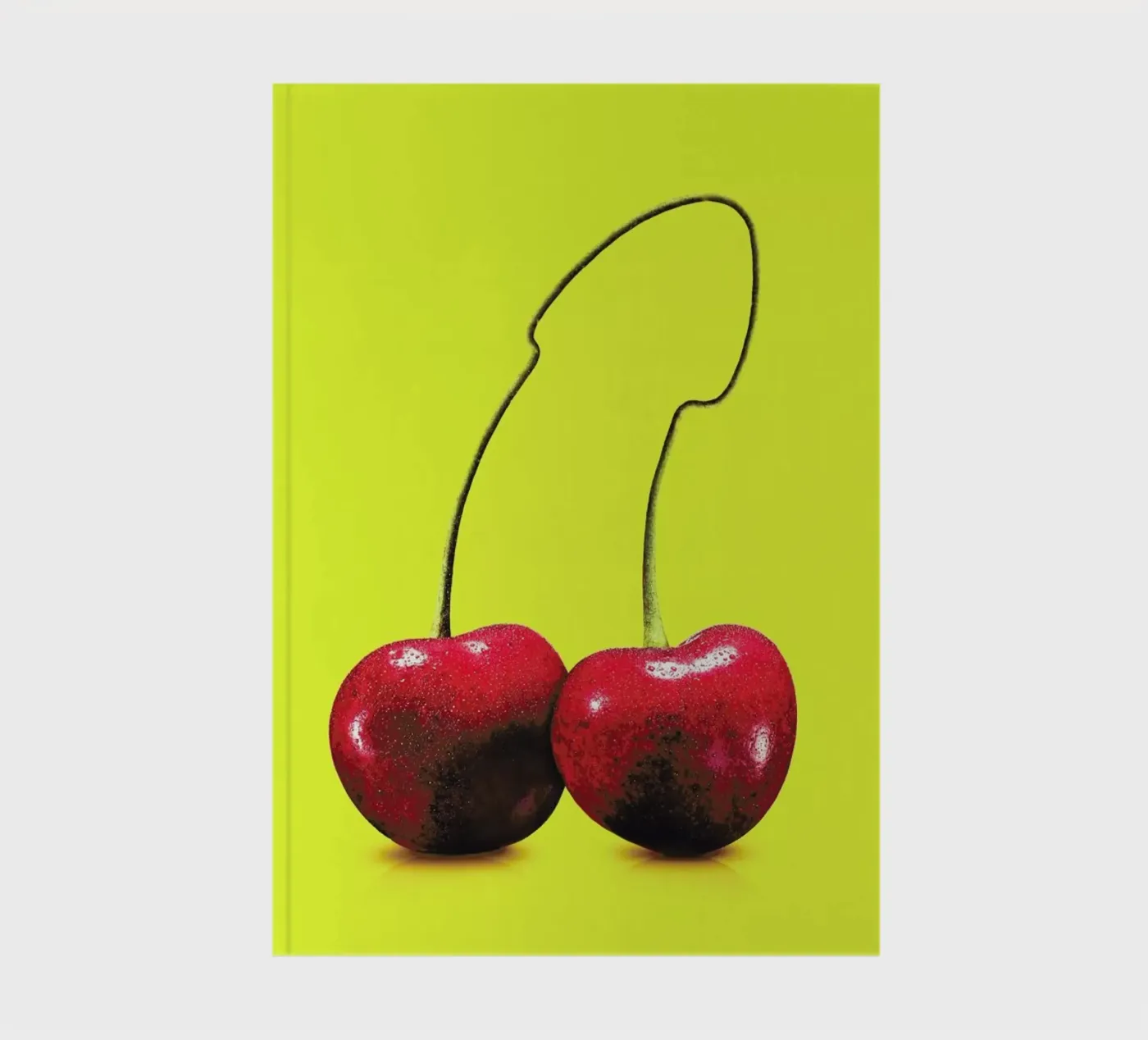 Cherrydick notebook by suckertom