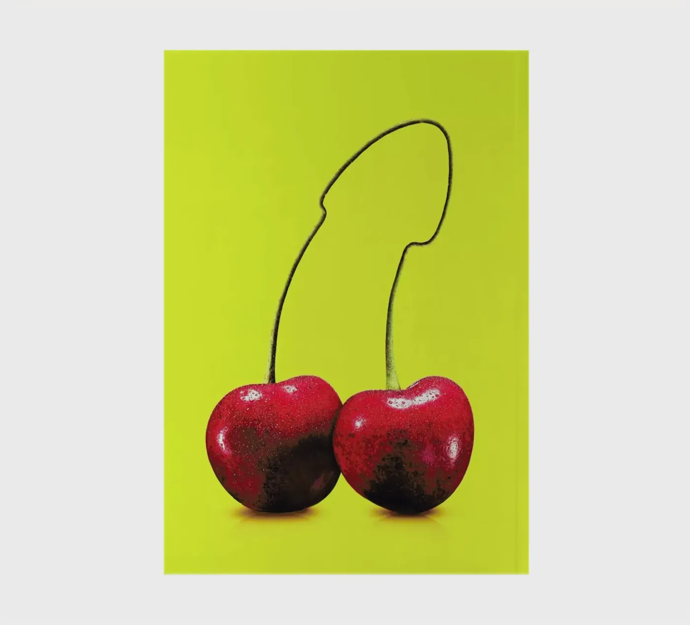 Cherrydick notebook by suckertom