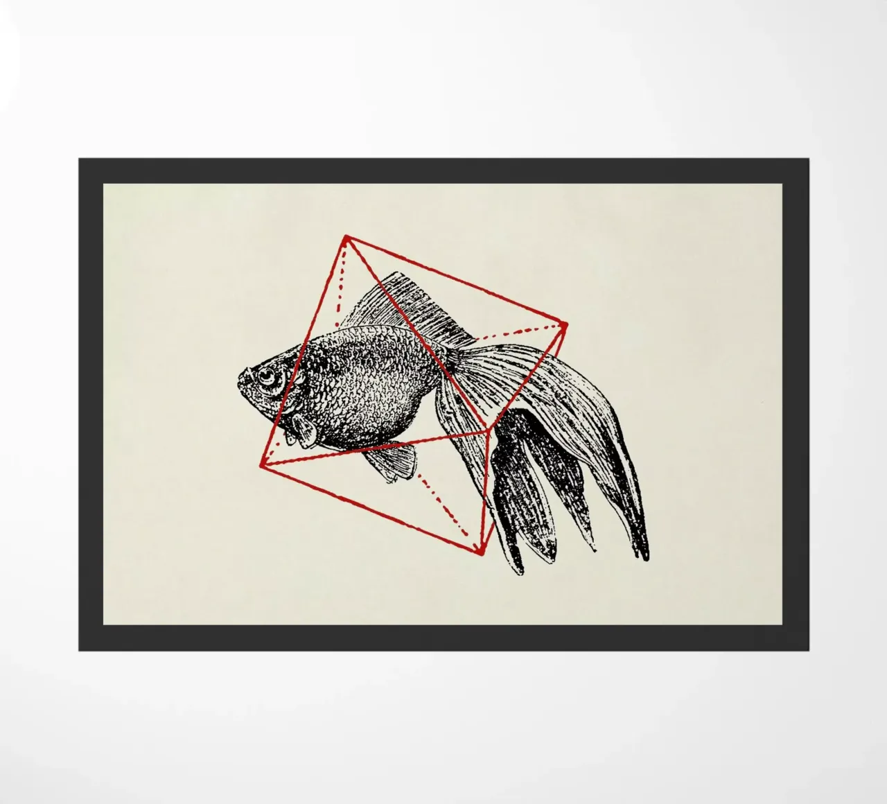 Fish in Geometrics III zerbino da Florent Bodart