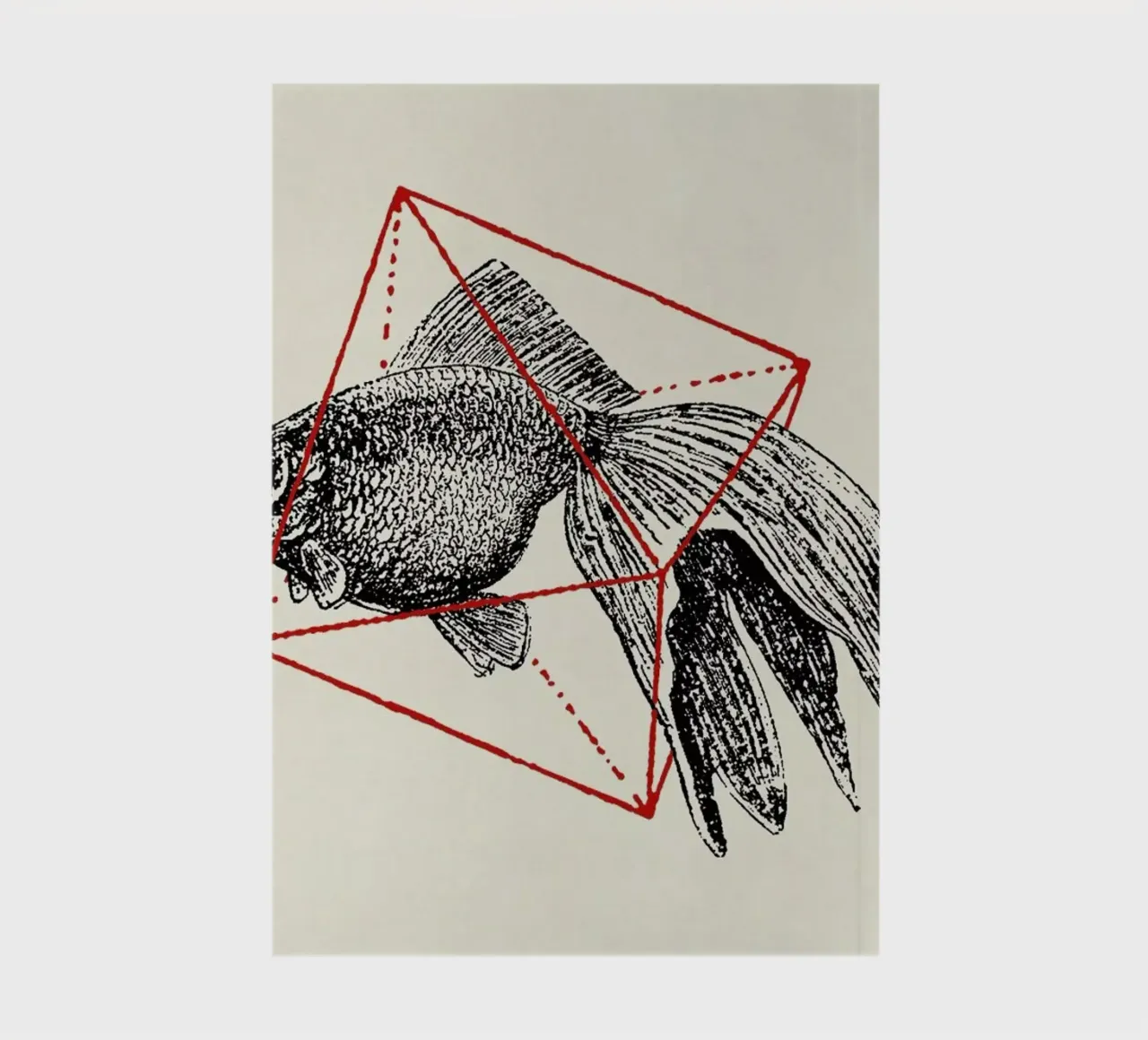 Fish in Geometrics III notebook by Florent Bodart