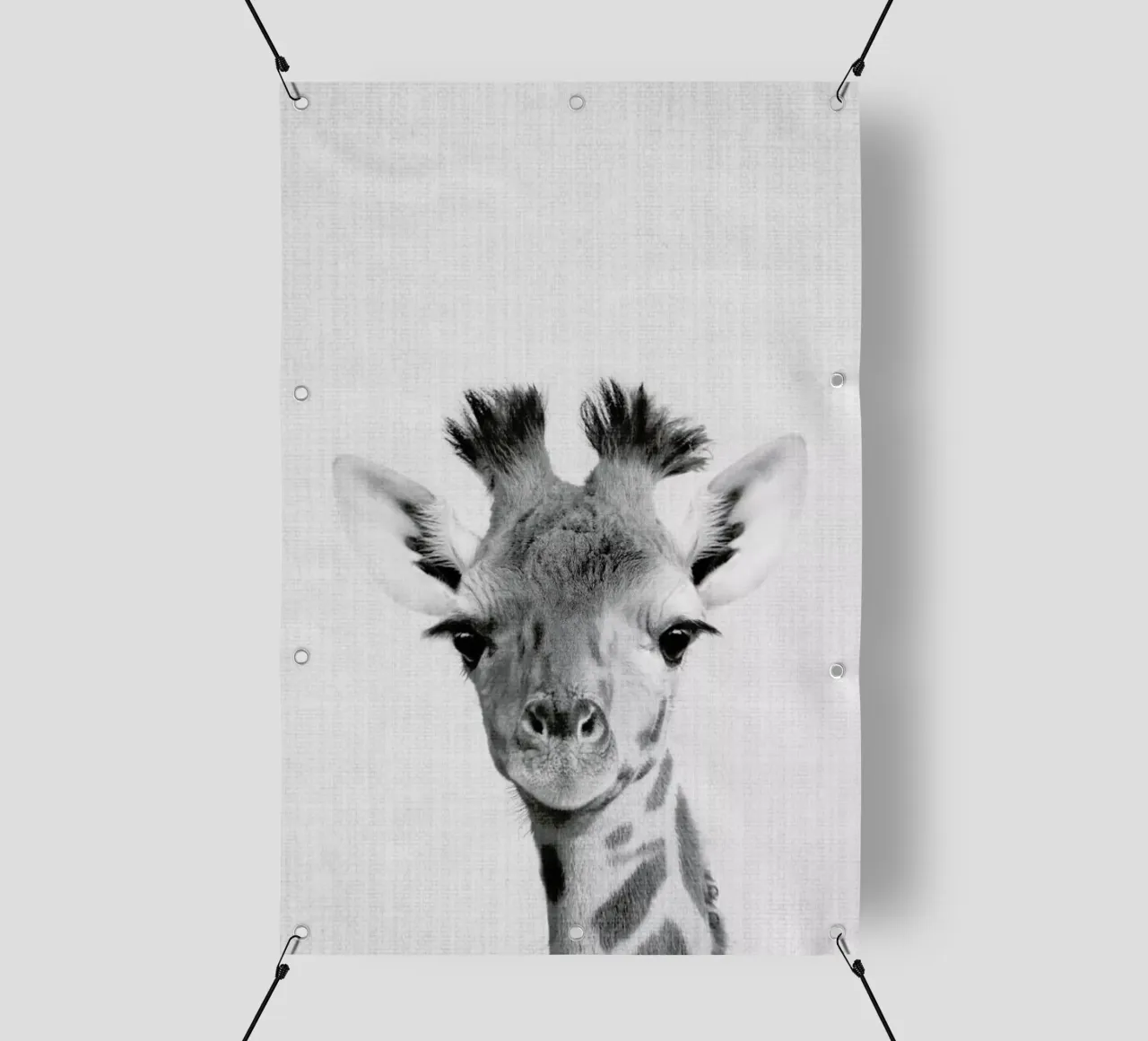 Print 40 pvc cover by Lila x Lola