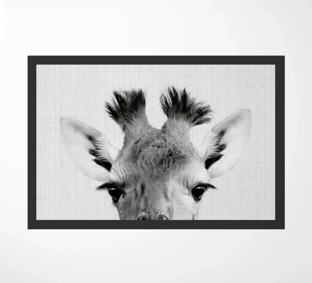 Print 40 zerbino da Lila & Lola