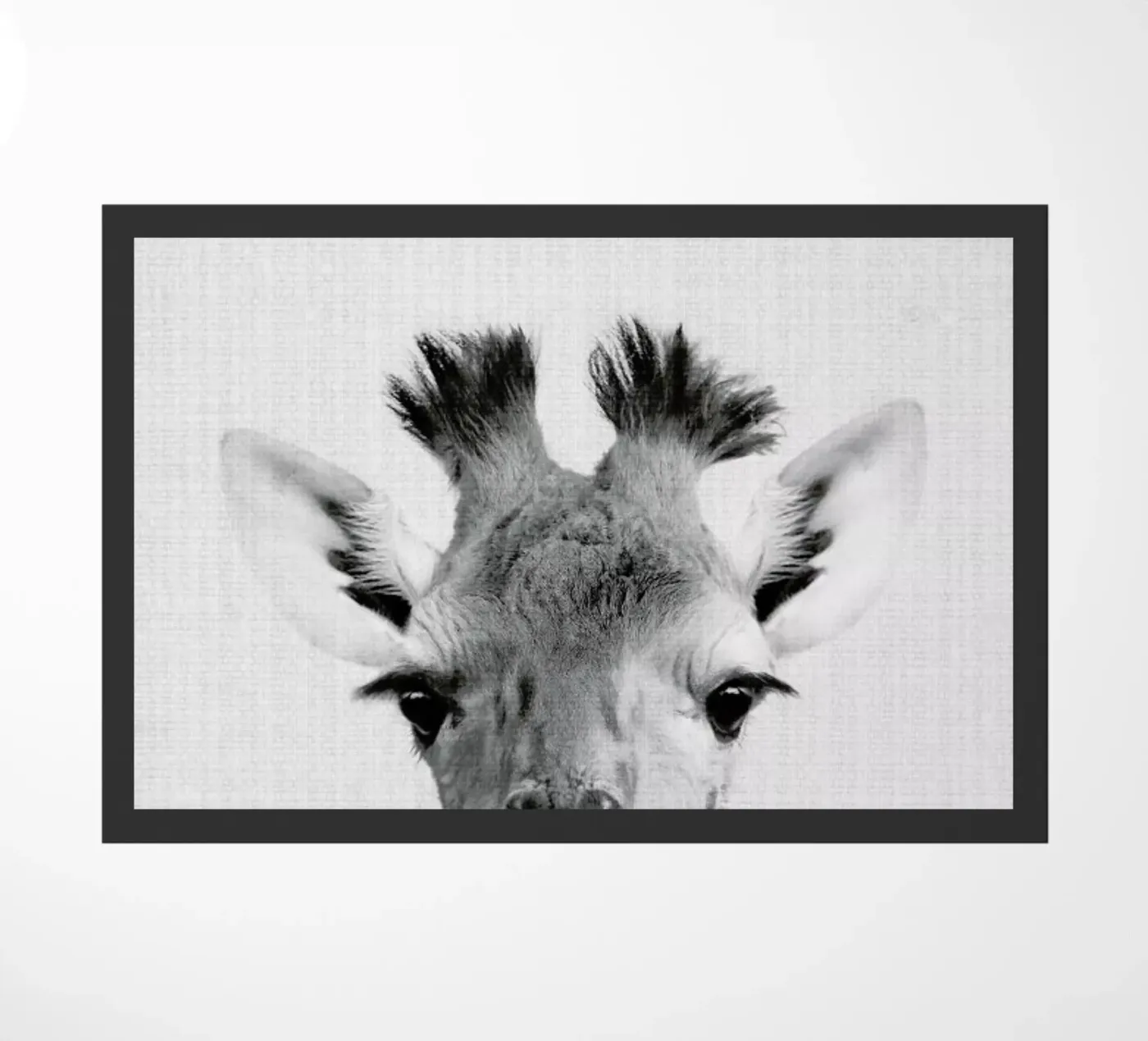 Print 40 zerbino da Lila & Lola