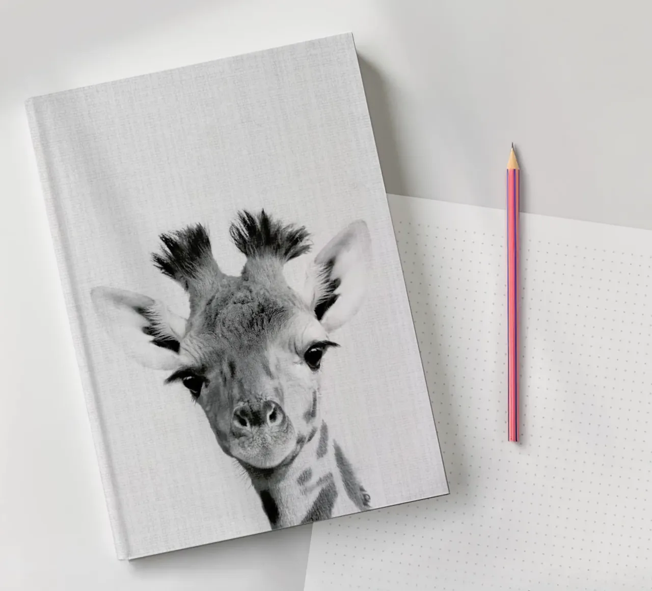 Print 40 notebook by Lila x Lola