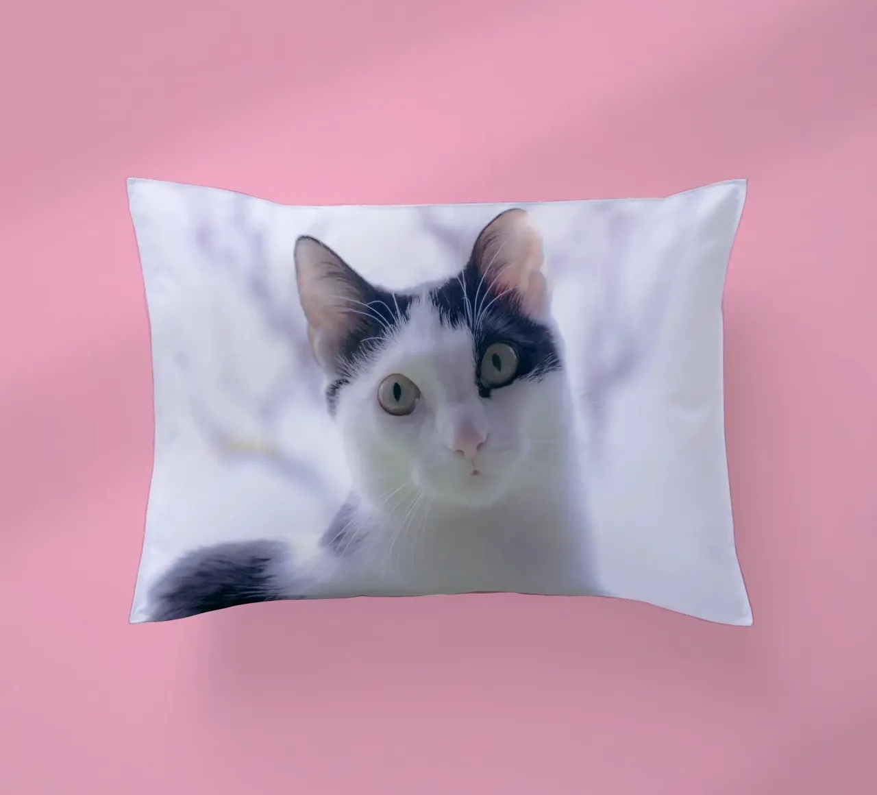 Piccolo gattino cuscino da Teresa André
