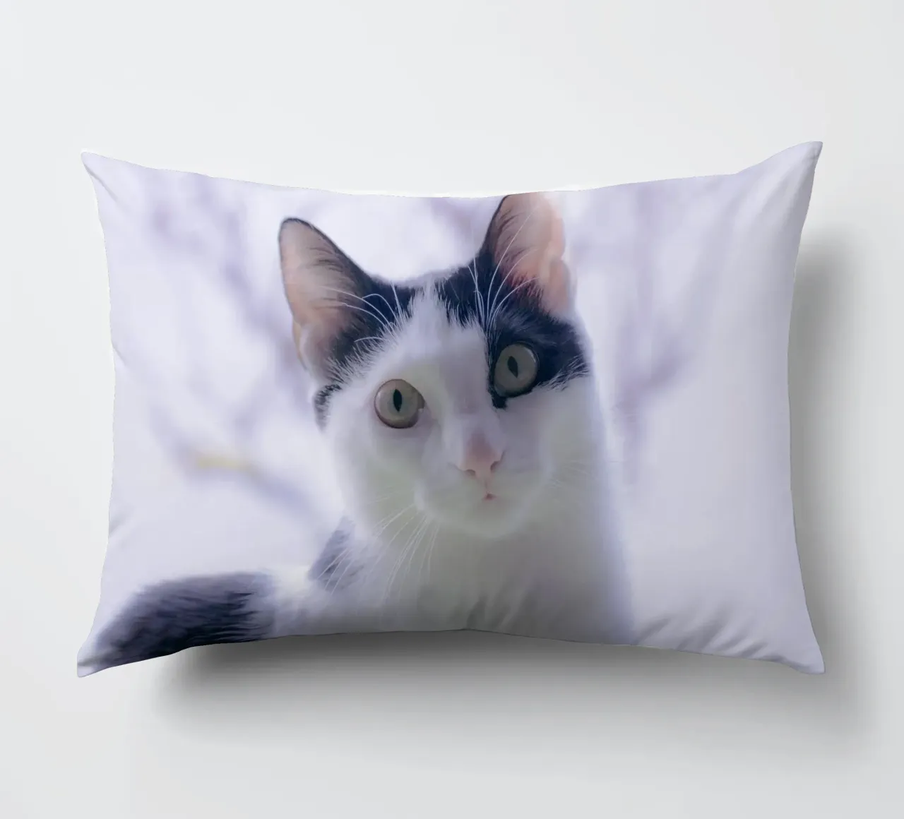 Piccolo gattino cuscino da Teresa André