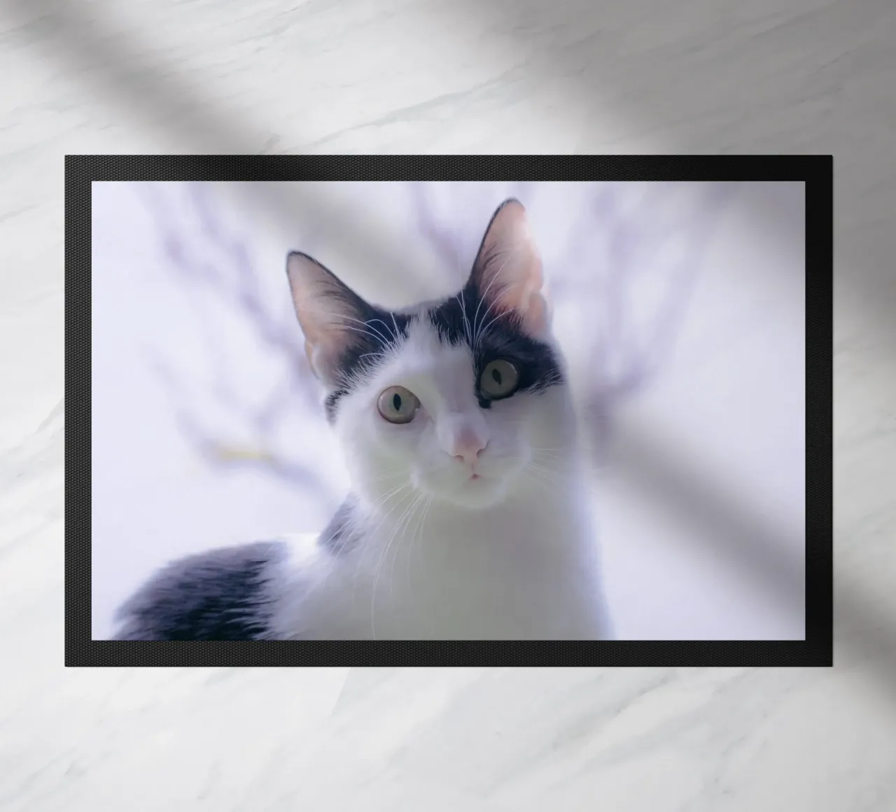 Piccolo gattino zerbino da Teresa André