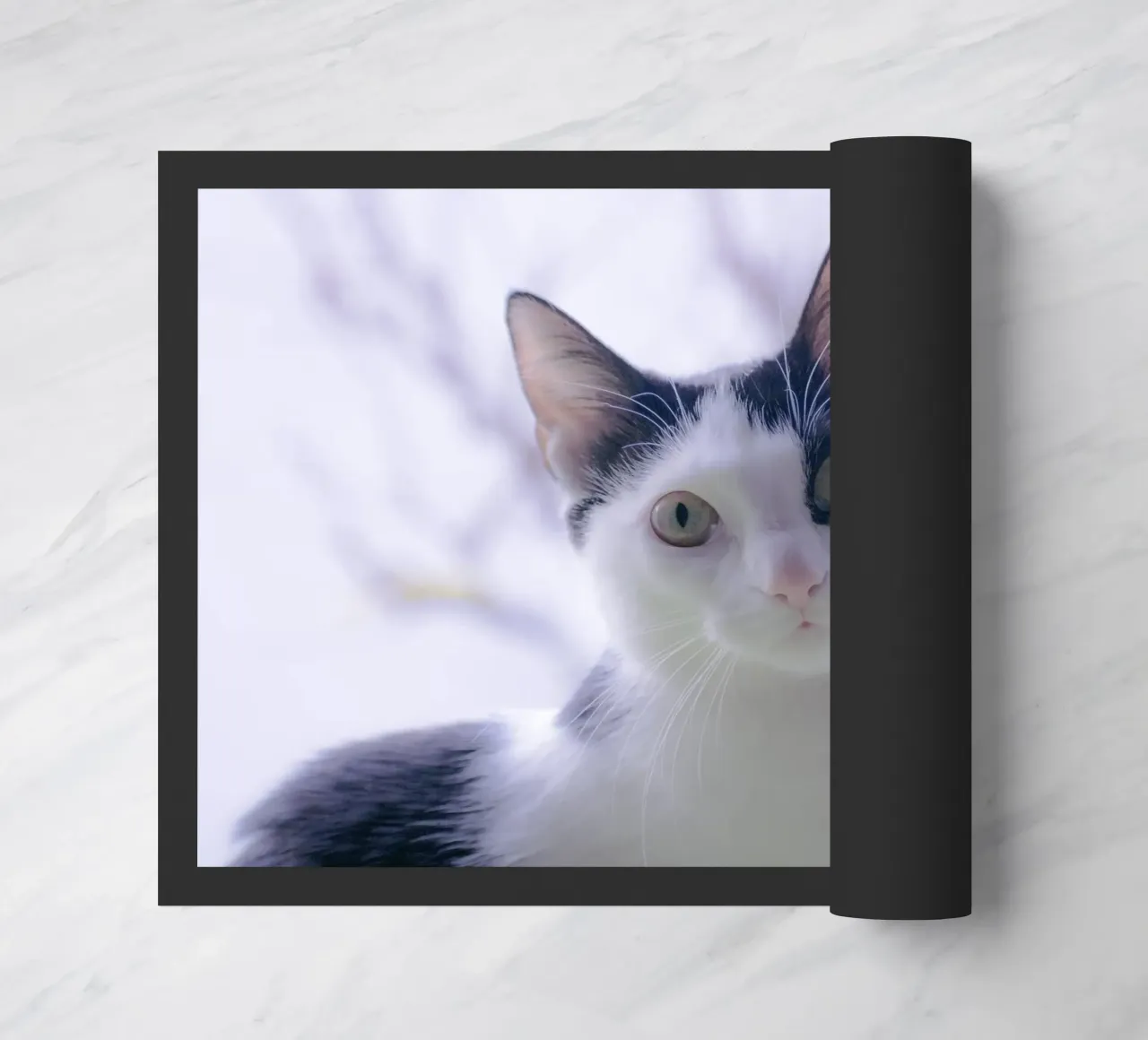 Piccolo gattino zerbino da Teresa André