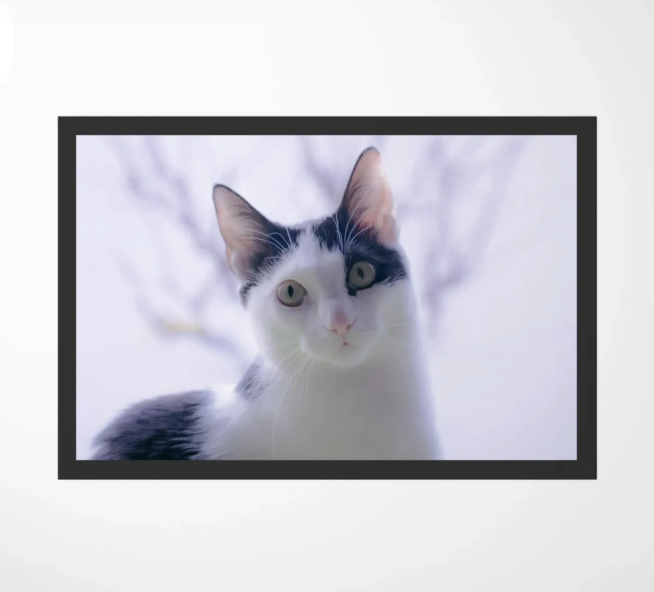 Piccolo gattino zerbino da Teresa André