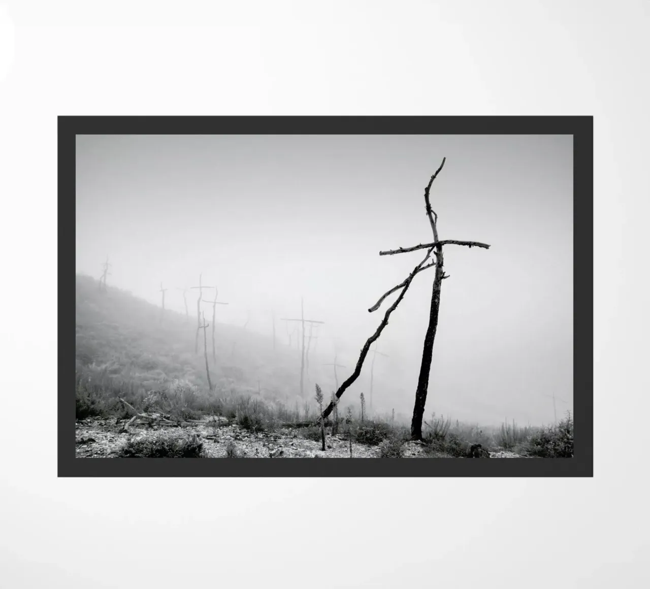 Forest of Crosses 3 zerbino da Håggard Photography | Ronny Behnert