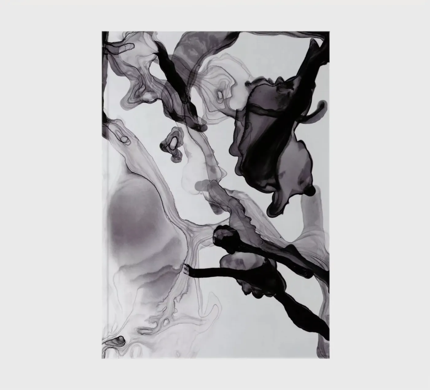 Float 01 diario da Froilein Juno