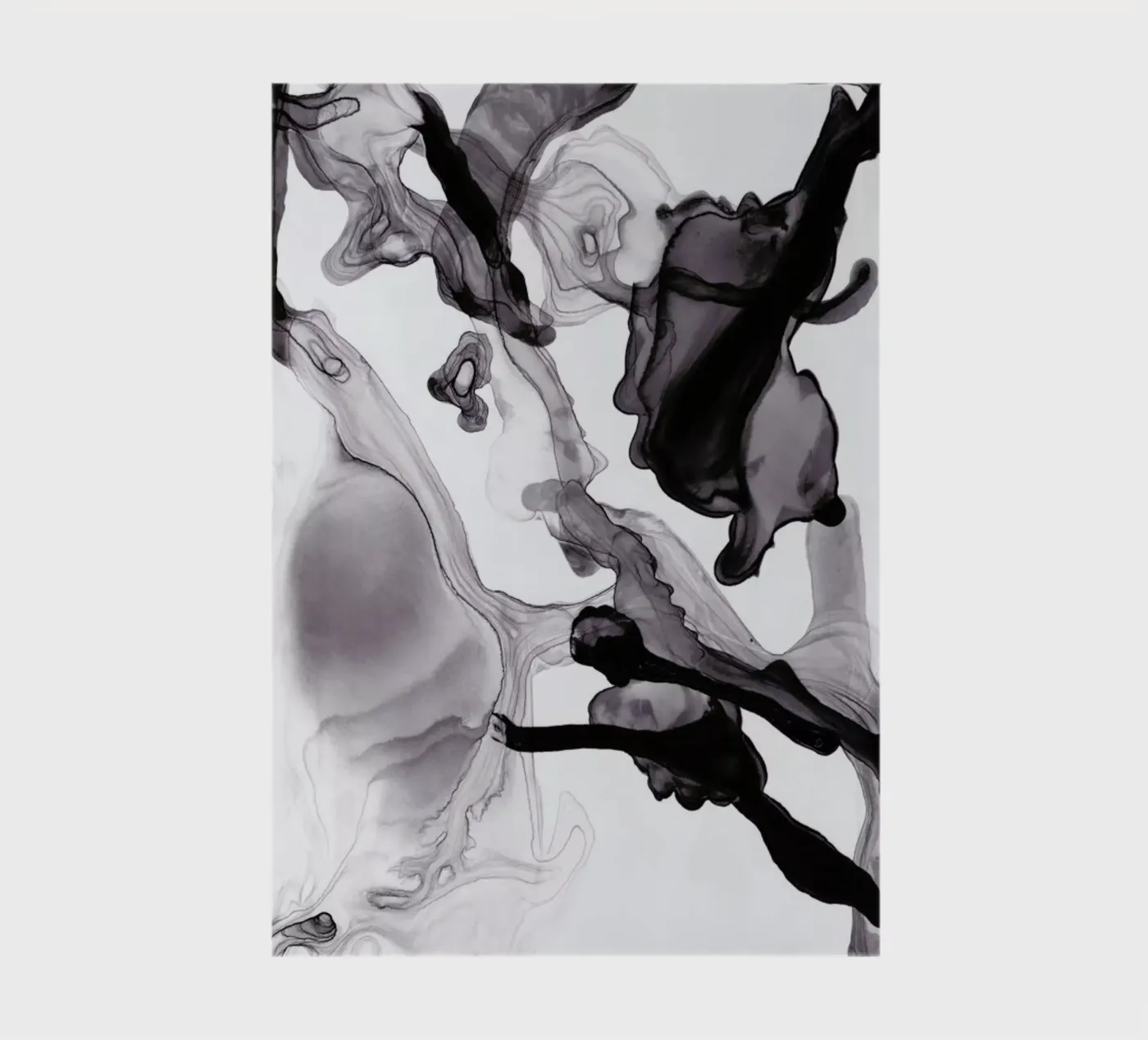 Float 01 diario da Froilein Juno