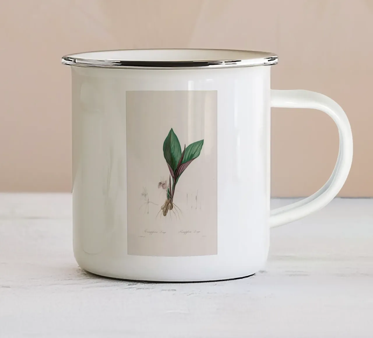 Kaempferia Longa, 1802-1816 - Henry Joseph Redouté tazza in smalto da Artokoloro Quint Lox Ltd